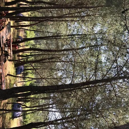 Afkule Camp&caravan *