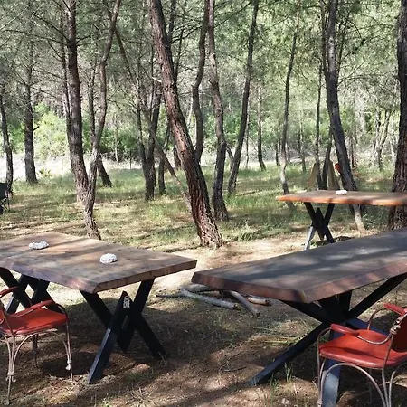 Campsite Afkule Camp&caravan *